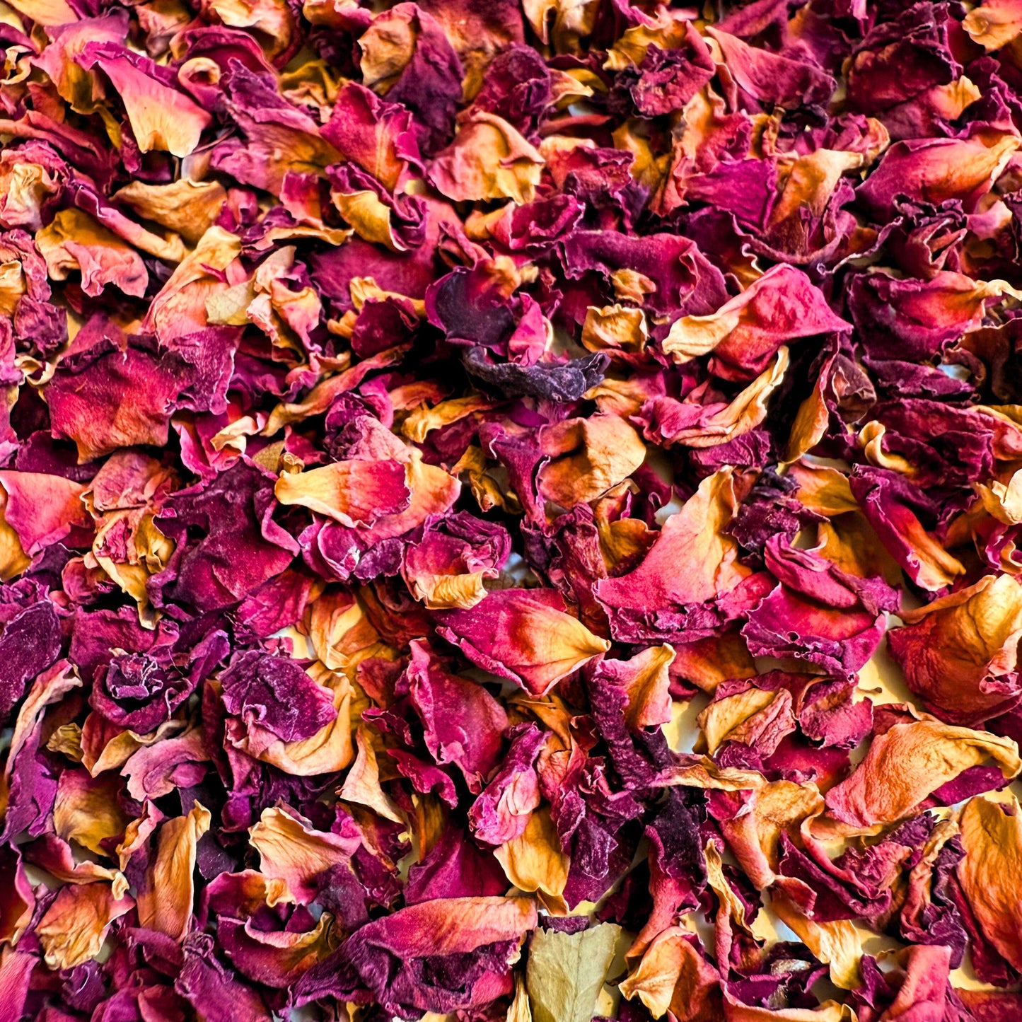 Pétales de Rose