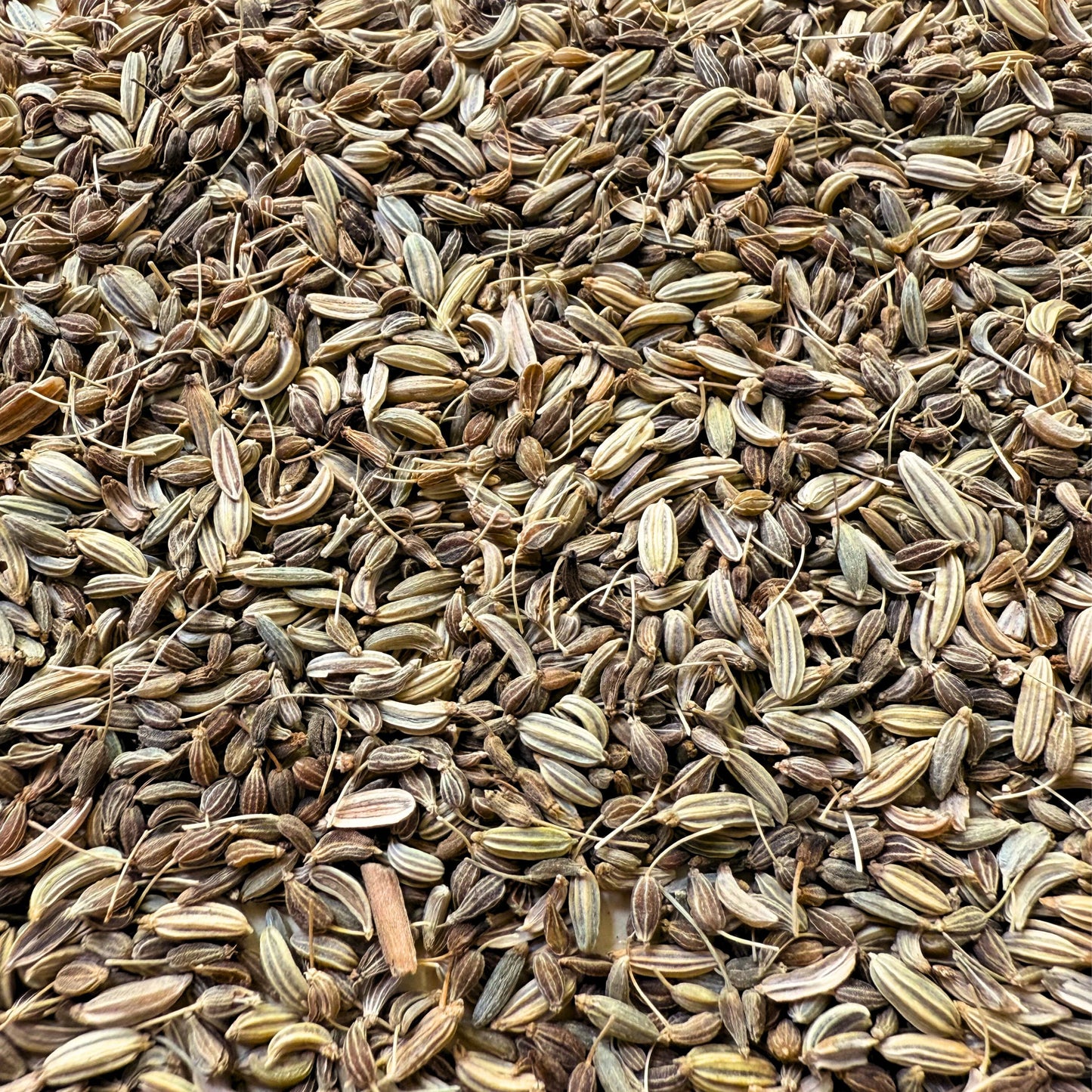 Tisane Tilou