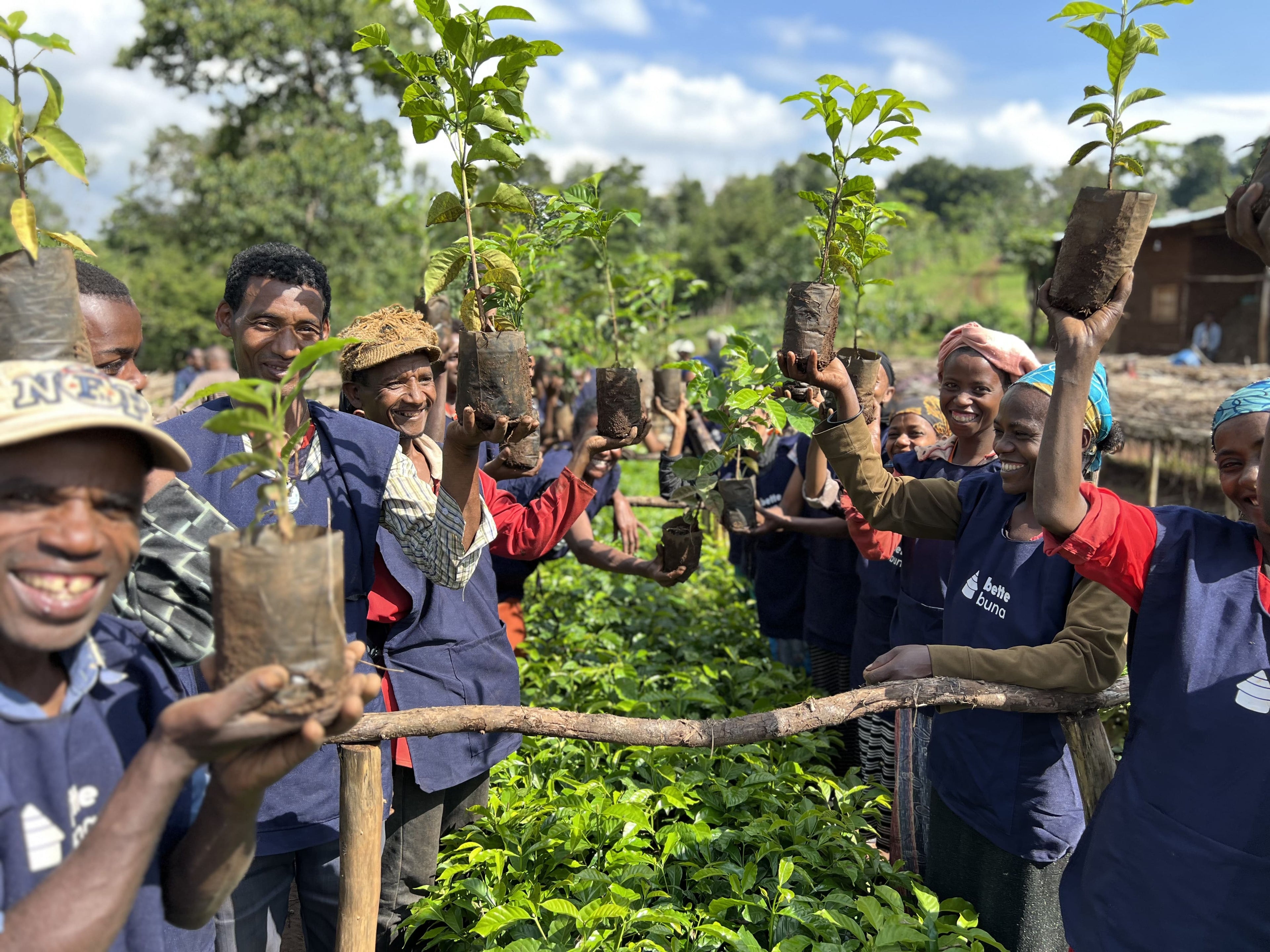 Ethiopia Sidamo Taferi Kela