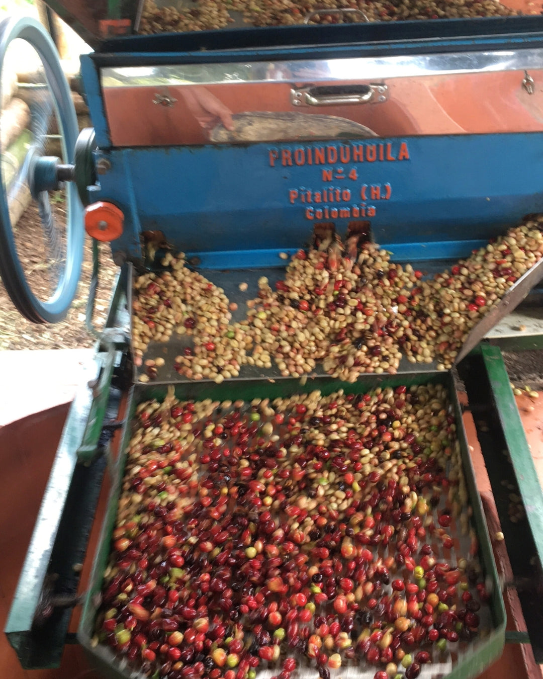 Colombia Toribio Cauca