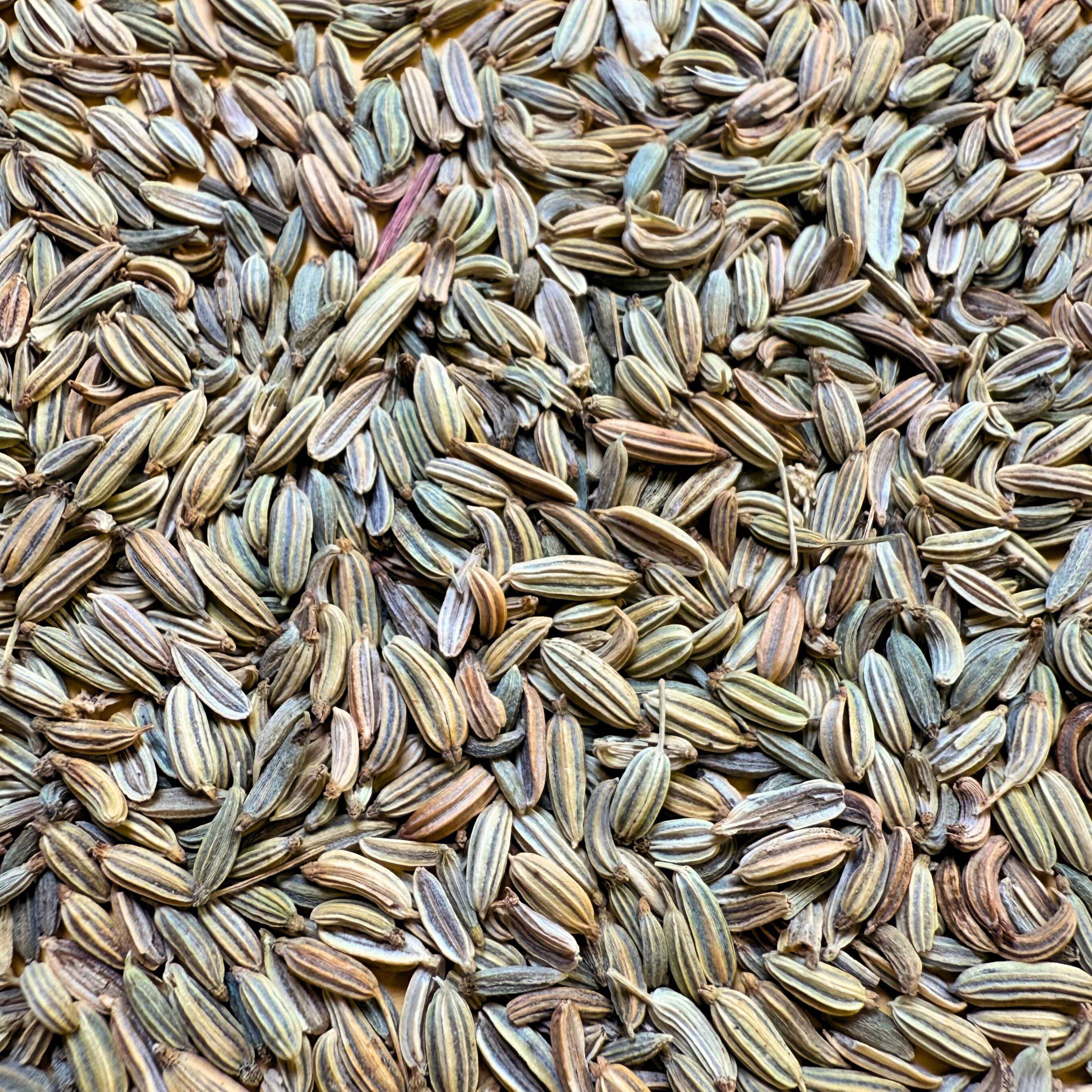 Fenouil BIO - L'artisanal 