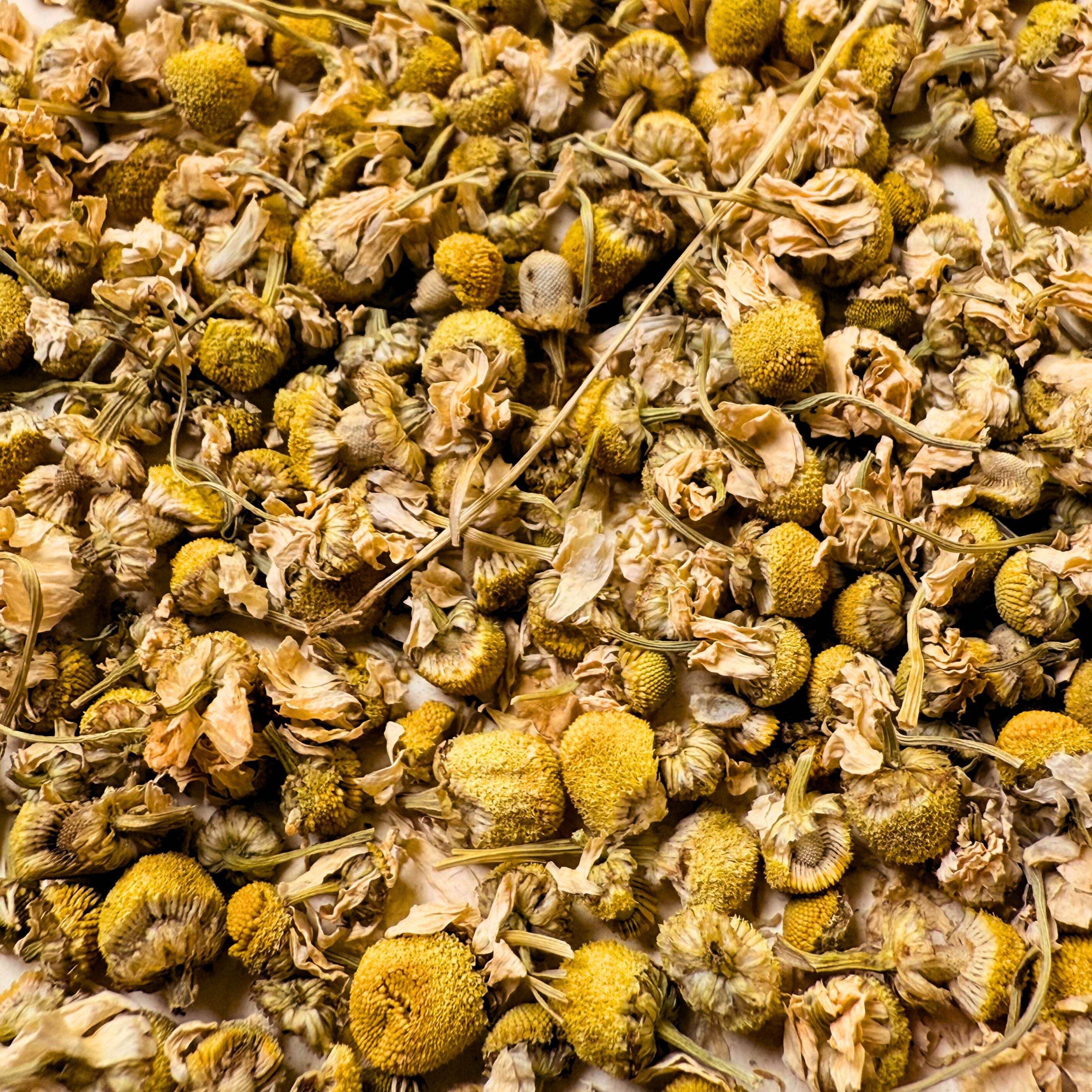 Camomille - L'artisanal 