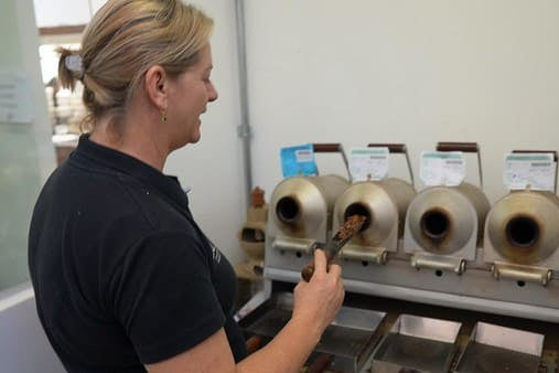 Brazil Dulces Sueños CO₂ Decaf