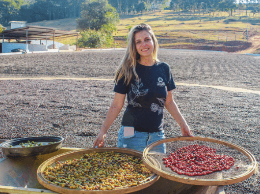 Brazil Fazenda Jaguara Guara