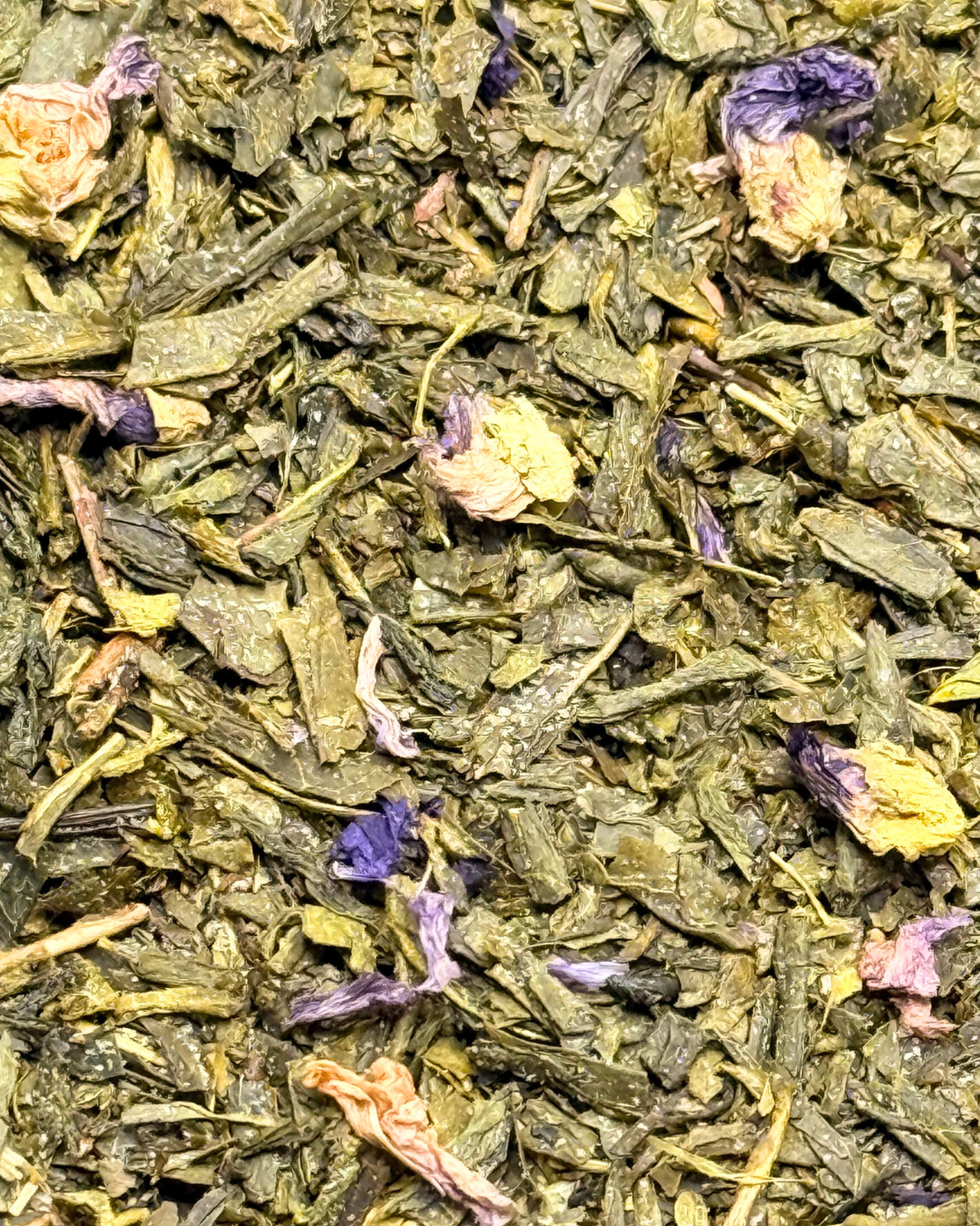 Sencha Kombucha