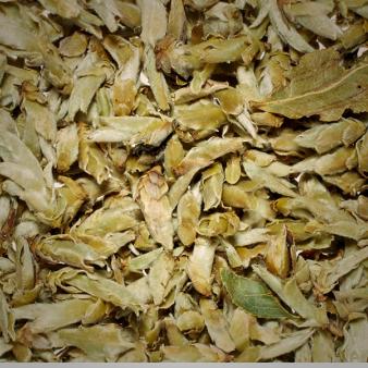 Yunnan Silver Bud Ya - L'artisanal