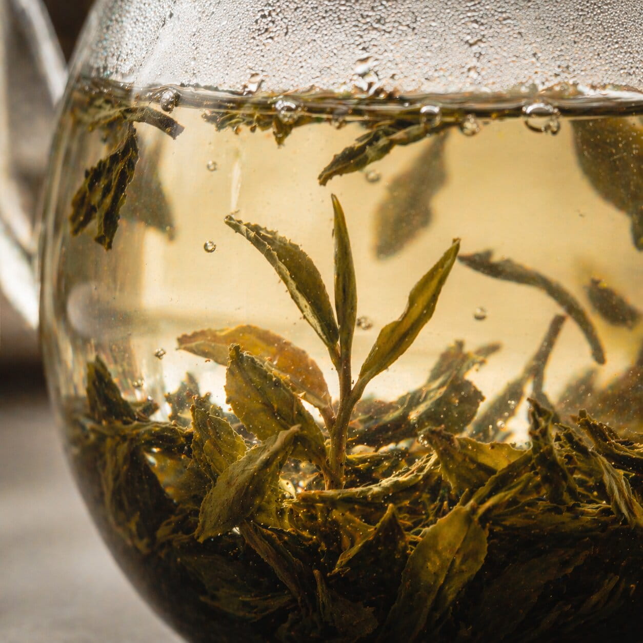 Gros plan sur des feuilles de thé vert en infusion dans de l’eau chaude, avec bulles et détails visibles à travers une théière en verre.