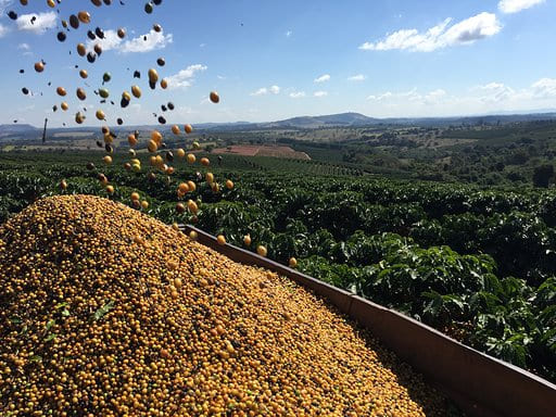 Brazil Dulces Sueños CO₂ Decaf